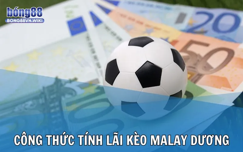 Công thức tính lãi khi chơi cược Malay dương