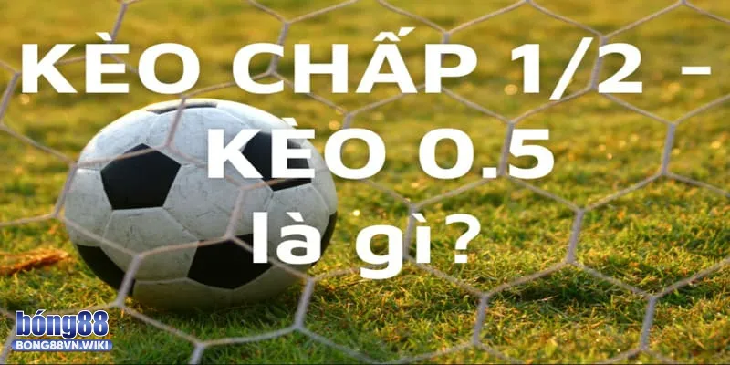 Giải thích kèo chấp 1/2