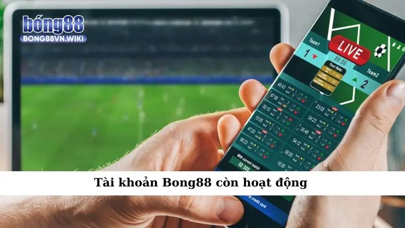 Tài khoản Bong88 còn hoạt động