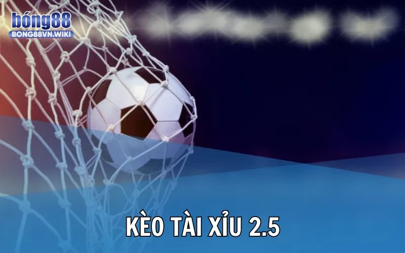 Tổng quan về kèo O/U 2.5 thường thấy trong bóng đá